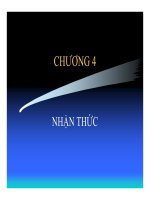 Giáo trình Hành vi người tiêu dùng chương 4