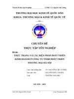 luận văn quản trị kinh doanh Thực trạng và các biện pháp phát triển kinh doanh ở Cty TNHH phát Triển Thương Mại Hà Nội