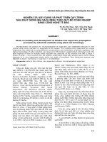 NGHIÊN CỨU XÂY DỰNG VÀ PHÁT TRIỂN QUY TRÌNH SẢN XUẤT GIỐNG MÍA SẠCH BỆNH THEO QUY MÔ CÔNG NGHIỆP