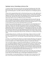 Nghị luận văn học về hành động trả thù của tấm