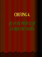 Giáo trình bài giảng pháp luật đại cương chương 4
