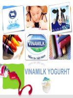 slide Bài thuyết trình về sản phẩm sữa chua vinamilk (VINAMILK YOGURT) bằng TIẾNG ANH (ENGLISH)