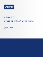 Báo cáo kinh tế vĩ mô việt nam quý 1   2015