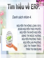 BÀI BÁO CÁO THỰC TẬP-Tìm hiểu về ERP