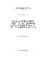 Các giải pháp phát triển nguồn vốn huy động của Ngân hàng thương mại cổ phần Công thương Việt Nam  Luận văn thạc sĩ