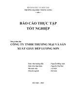 luận văn quản trị kinh doanh Thực trạng hoạt động sản xuất kinh doanh của công ty TNHH thương mại và sản xuất Lương Sơn