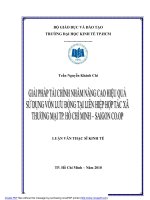 Giải pháp tài chính nhằm nâng cao hiệu quả sử dụng vốn lưu động tại liên hiệp hợp tác xã thương mại TP.Hồ Chí Minh - Sài Gòn Co.op 70281  Luận văn thạc sĩ