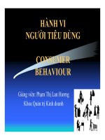 Giáo trình Hành vi người tiêu dùng chương 1