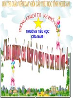 Khoa học 4 Nhu cau khong khi cua thuc vat