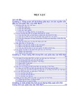 KHÓA LUẬN TỐT NGHIỆP- Thực trạng và giải pháp cho FDI trong lĩnh vực giáo dục tại Việt Nam