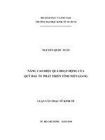 Nâng cao hiệu quả hoạt động của quỹ đầu tư phát triển tỉnh Tiền Giang  Luận văn thạc sĩ