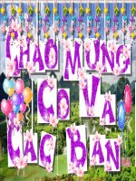 bài 9 tiết 3 noi dung co ban cua phap luat cac linh vuc xa hoi