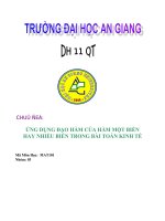 Ứng dụng đạo hàm trong toán kinh tế