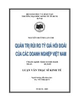 Quản trị rủi ro tỷ giá hối đoái của các doanh nghiệp Việt Nam  Luận văn thạc sĩ