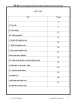 BÀI BÁO CÁO THỰC TẬP-  Rèn luyện kỹ năng tính nhanh, tính nhẩm về phân số cho học sinh lớp 5