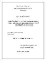 Nghiên cứu các yếu tố tác động vào sự thỏa mãn khách hàng khi đi mua sắm ở siêu thị TPHCM