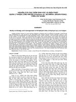 NGHIÊN CỨU ĐẶC ĐIỂM SINH HỌC VÀ BIỆN PHÁP QUẢN LÝ NHỆN LÔNG NHUNG Eriophyes sp. (ACARINA ERIOPHYIDAE) TRÊN CÂY NHÃN