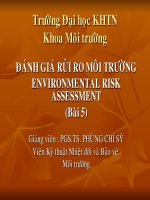 GIÁO TRÌNH-ĐÁNH GIÁ RỦI RO MÔI TRƯỜNG ENVIRONMENTAL RISK ASSESSMENT, BÀI 5