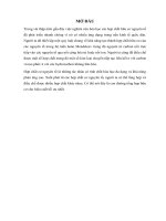 BÁO CÁO-TỔNG HỢP NGUYÊN TỐ HỮU CƠ