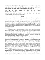 Nghiên cứu các thông số kỹ thuật cho sản xuất chế phẩm vi sinh vật cấy dùng cho trong chế biến, bảo quản thức ăn thô xanh và phụ phẩm nông nghiệp cho gia súc nhai lại