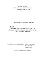 HIỆU QUẢ CHO VAY TIÊU DÙNG cá NHÂN tại NGÂN HÀNG THƯƠNG MẠI cổ PHẦN á CHÂU CHI NHÁNH sài gòn THỰC TRẠNG và GIẢI PHÁP