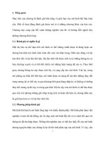 Tìm hiểu về sự biên đổi của khí hậu và kết hợp mô hình toàn cầu