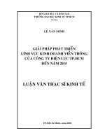 Giải pháp phát triển lĩnh vực kinh doanh Viễn Thông của công ty điện lực TP.HCM đến năm 2015