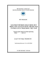 Giải pháp mở rộng hoạt động vốn tại ngân hàng thương mại cổ phần xuất nhập khẩu Việt Nam  Luận văn thạc sĩ