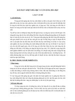 Một số bài toán về nhiệt hóa học và cân bằng hóa học