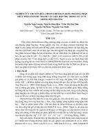 Nghiên cứu chuyển hóa chitin chitosan bằng phương pháp thủy phân enzyme thanh vật liệu hấp thụ trong xử lý ô nhiễm môi trường