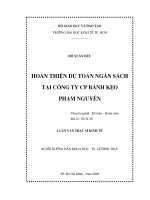 Hoàn thiện dự toán ngân sách tại công ty CP bánh kẹo Phạm Nguyên  Luận văn thạc sĩ