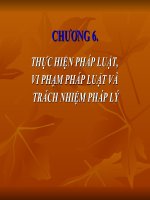 Giáo trình bài giảng pháp luật đại cương chương 6