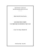 Giải pháp phát triển các Hiệp hội ngành hàng Việt Nam  Luận văn thạc sĩ