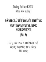 GIÁO TRÌNH-ĐÁNH GIÁ RỦI RO MÔI TRƯỜNG ENVIRONMENTAL RISK ASSESSMENT, BÀI 8