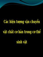 BÁO CÁO-Các hiện tượng vận chuyển vật chất cơ bản trong cơ thể sinh vật