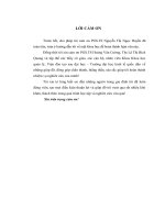 Hoàn thiện chính sách quản lý rủi ro tín dụng của Ngân hàng thương mại cổ phần Quốc Tế Việt Nam (VIB)