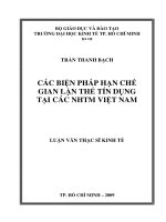 Các biện pháp hạn chế gian lận thẻ tín dụng tại các NHTM Việt Nam  Luận văn thạc sĩ