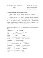 Đề HKII Tiếng Anh 6 - 10