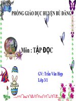 Tiếng Đàn tuần 24 njce