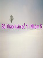 PHẦN MỀM MÁY TÍNH VÀ VI RÚT MÁY TÍNH