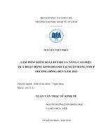 Giải pháp kiểm soát rủi ro và nâng cao hiệu quả hoạt động kinh doanh tại ngân hàng TMCP Phương Đông đến năm 2015