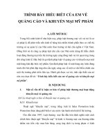 trình bày hiểu biết về quảng cáo và khuyến mại mỹ phẩm