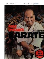 Ebook KỸ THUẬT KARATE CĂN BẢN