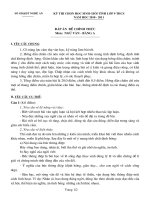 da thi hsg tinh NGHE AN bang A 2011