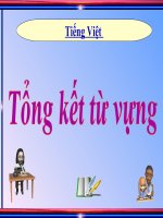 tổng kết tiếng việt