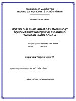 Một số giải pháp nhằm đẩy mạnh hoạt động Marketing dịch vụ E-Banking tại ngân hàng Đông Á