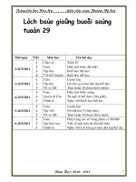 giao an chuan lop 3 tuan 29