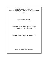 Áp dụng giao dịch quyền chọn cổ phiếu tại Việt Nam  Luận văn thạc sĩ