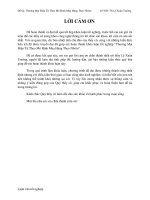 Thương mại điện tử theo mô hình mua hàng theo nhóm