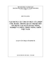 Vận dụng các chuẩn mực của hiệp ước Basel trong quản trị rủi ro tín dụng tại ngân hàng nông nghiệp và phát triển nông thôn VN